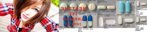 стаф Арсеньев