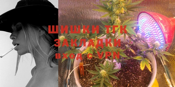 стаф Арсеньев