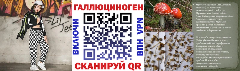 Галлюциногенные грибы GOLDEN TEACHER  Великий Устюг 