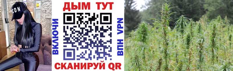 Канабис THC 21%  магазин продажи   Великий Устюг 